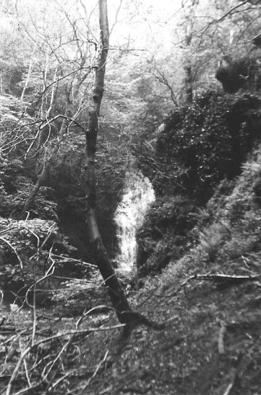 n554663766_1689843_7159