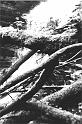 n554663766_1689841_6538
