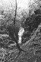 n554663766_1689843_7159