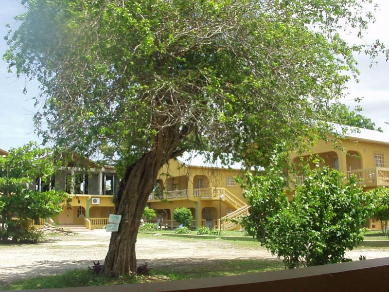 j2009