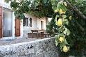 IMG_3894
