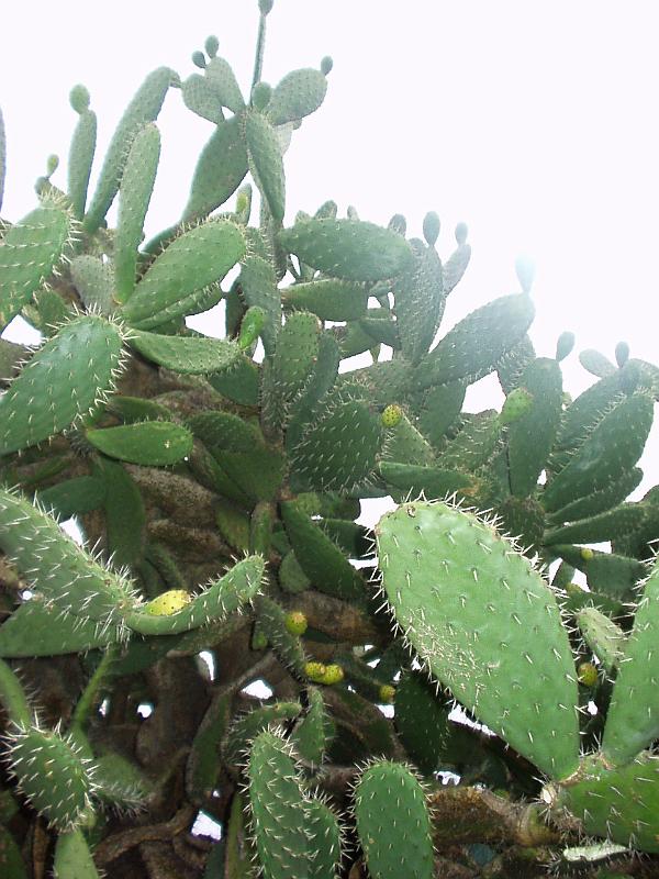 P1180020
