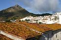 IMG_0191