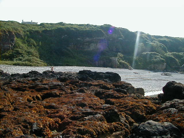 w0160