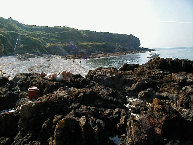 w0164