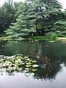 w432